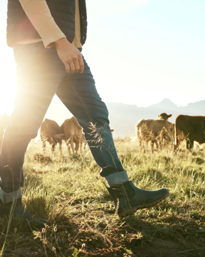 Rancher walking through a cattle pasture at sunset, from eXp Land and Ranch